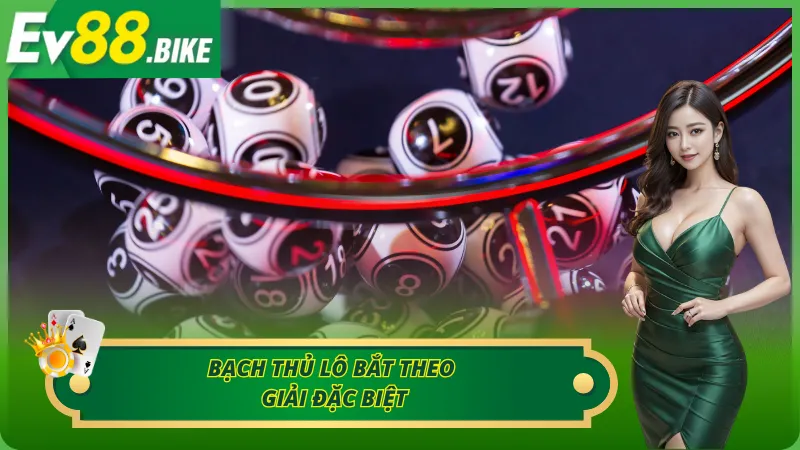 Cơ hội tiềm năng với bạch thủ lô theo giải đặc biệt