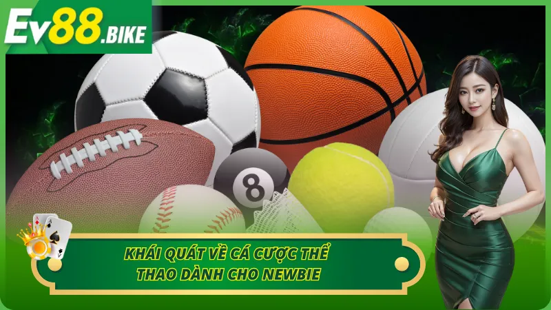 Những điều nổi bật về cá cược thể thao cho tân thủ