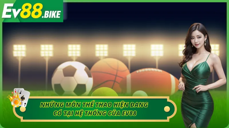 05 loại hình cá cược thể thao thú vị người chơi nên thử