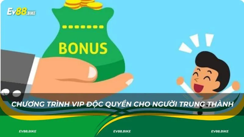 Chương trình VIP và độc quyền cho người trung thành