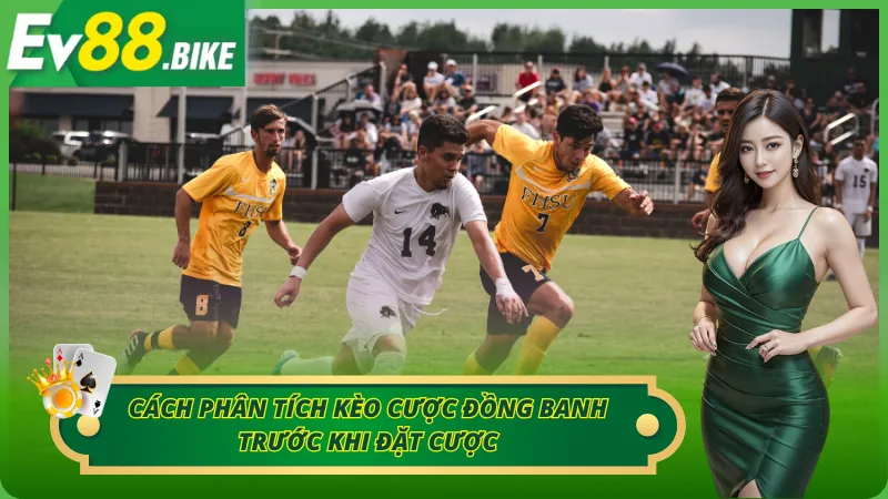 04 cách phân tích kèo đồng banh tân thủ nên biết