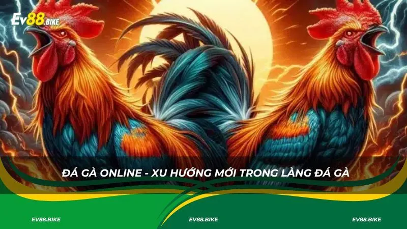 Đá gà bình luận viên online - Xu hướng mới trong làng đá gà